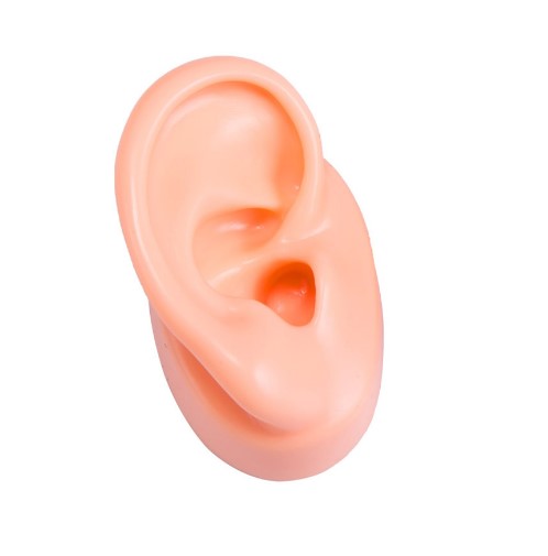 Soporte de exhibición de audífonos de acrílico con forma de cabeza Soundlink