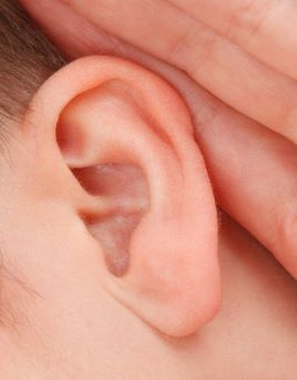 Nervio auditivo: qué es y cómo estimularlo