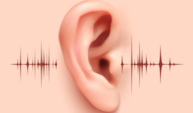 ¿Qué es SNR en el área de la protección auditiva? - Audioactive