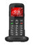 Teléfono móvil para personas mayores S520 2.31